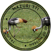 MAZURI TTI