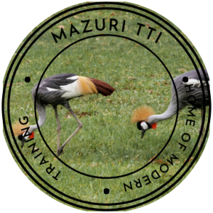 MAZURI